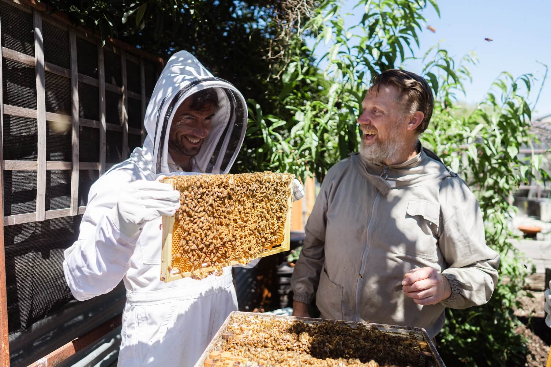Thumbnail for Behind the scenes with Backyard Beekeeping Ballarat