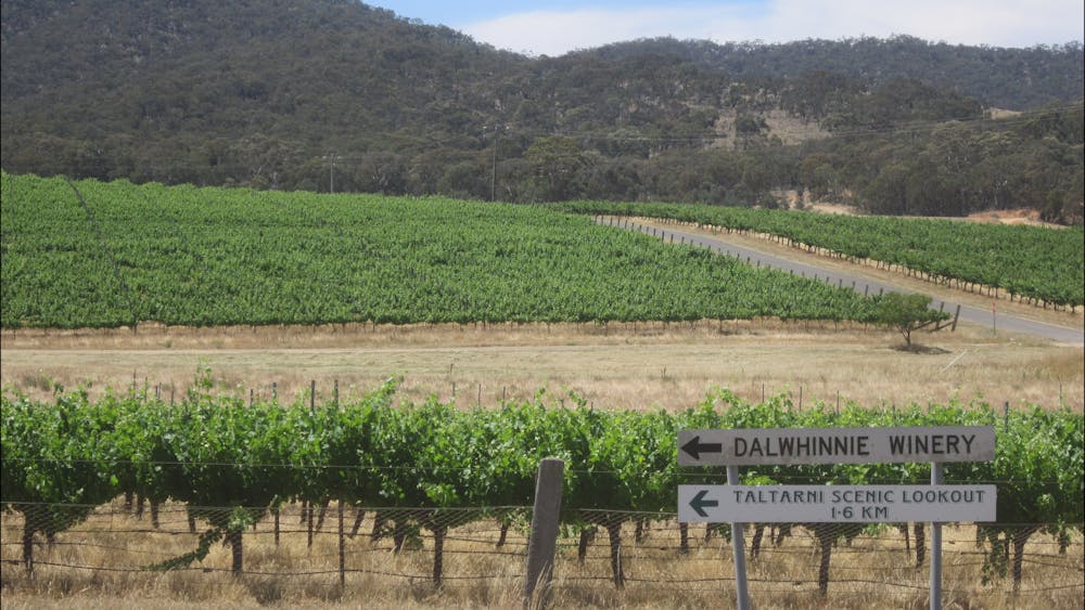 Thumbnail for Pyrenees Wine Tour