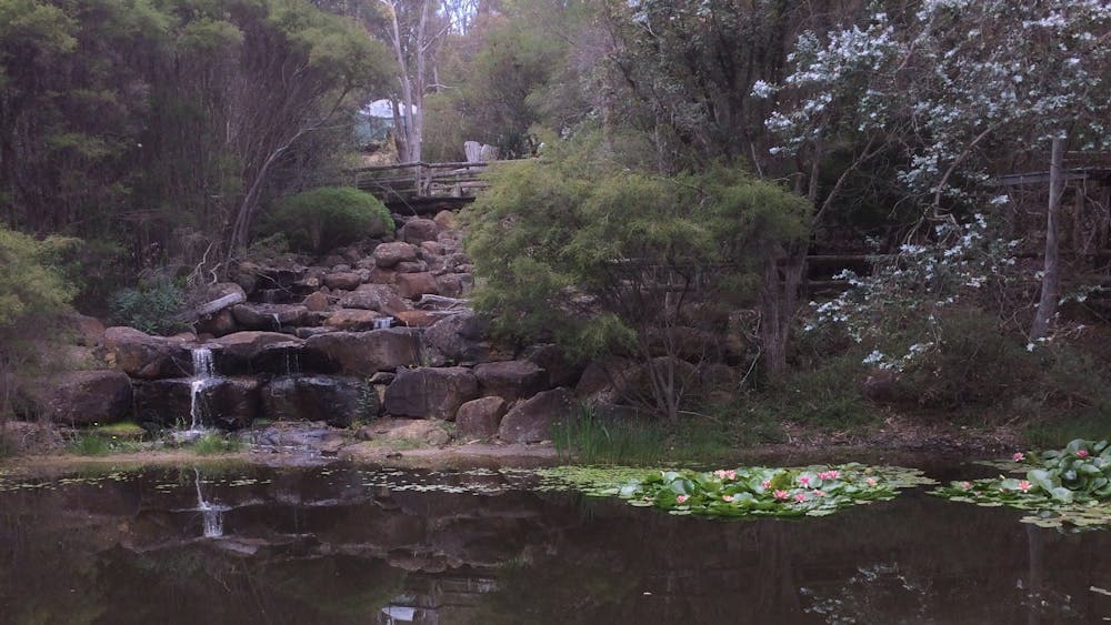 Waterfall pond