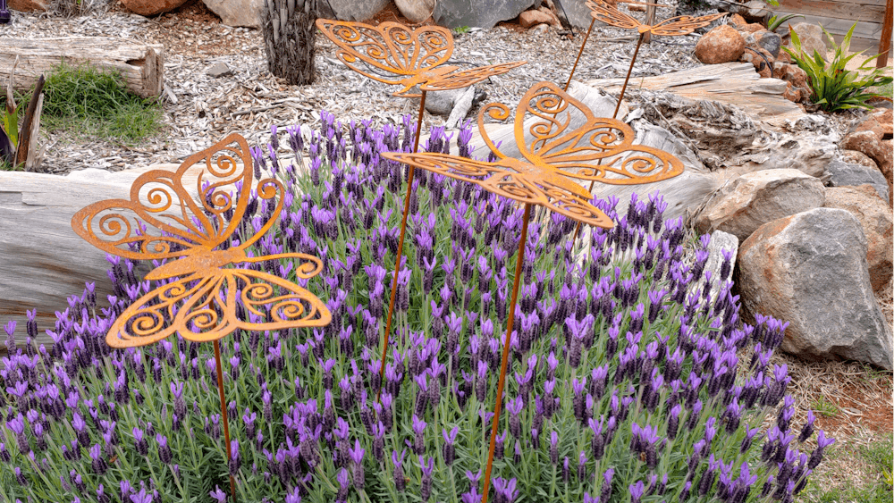 Lavender butterflies