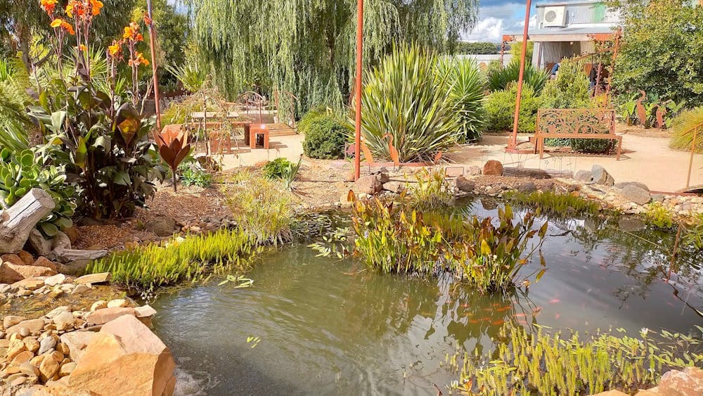 Pond in the sculpture garden