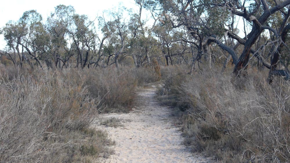 Little Desert National Park