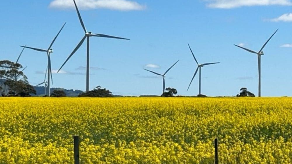 Spring time at Lal Lal Wind Farm