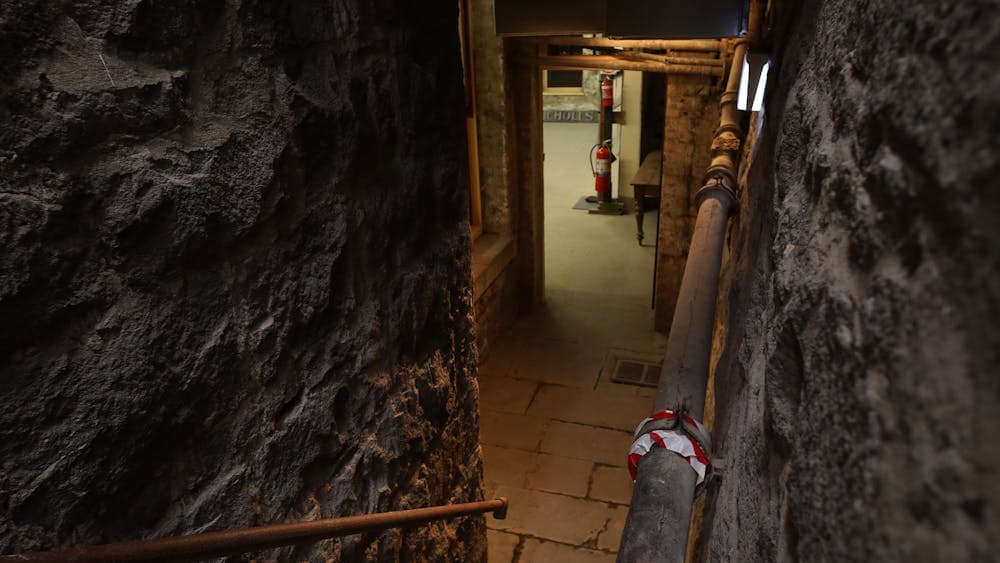 Photo of bluestone stairs leading down into a basement