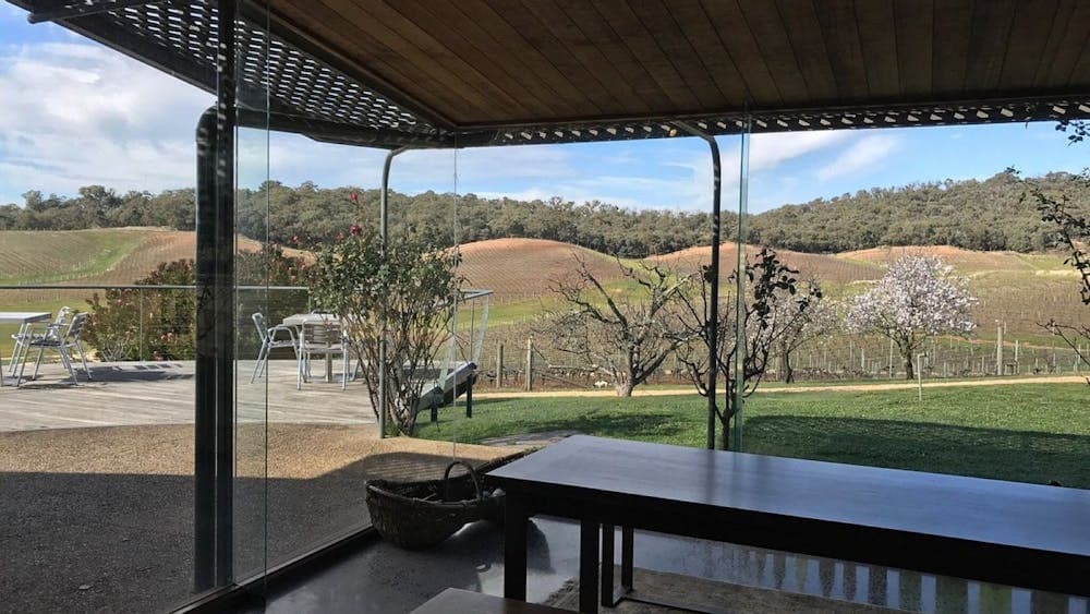 View from Cellar Door