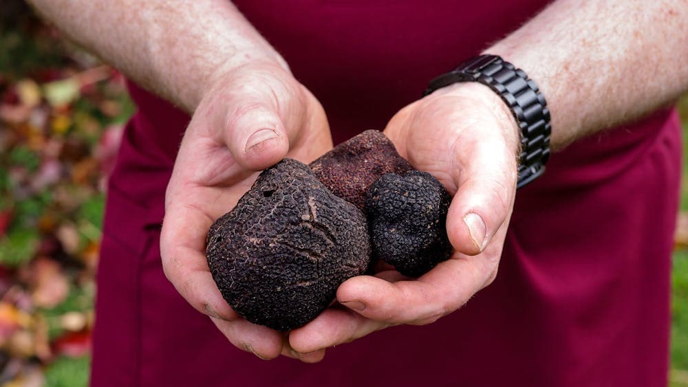 Winter Truffle Hunt