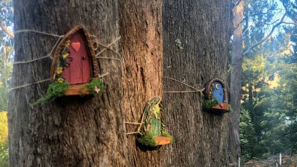 trees with handmade fairy doors stuck to them