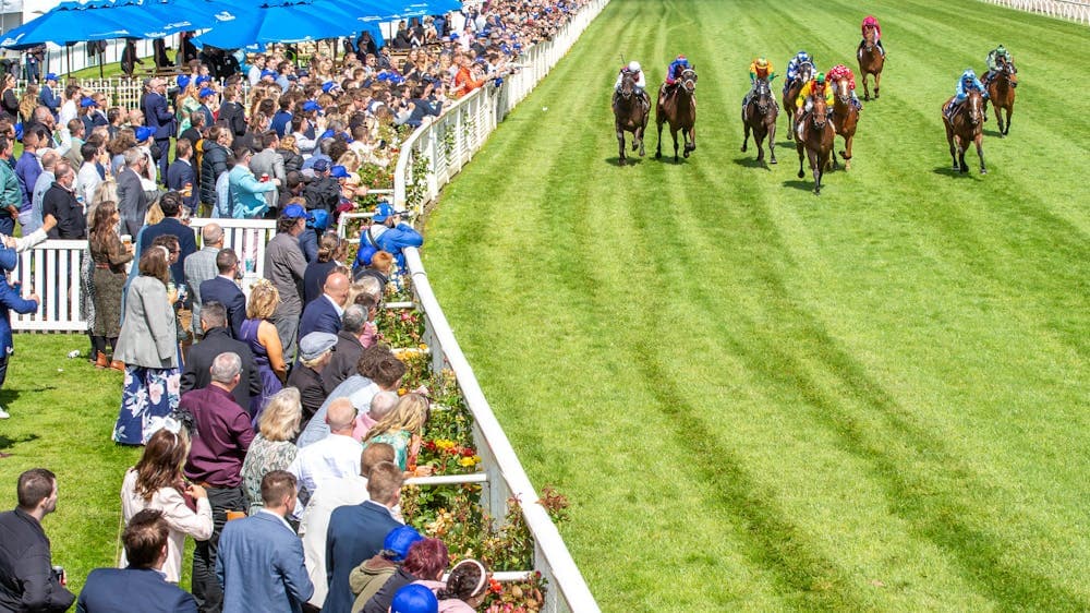 A big crowd overseeing the racing action