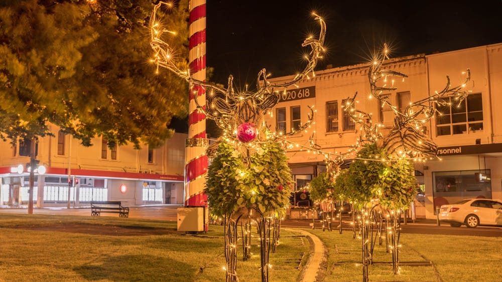 Floral reindeer lit up at night with fairy lights