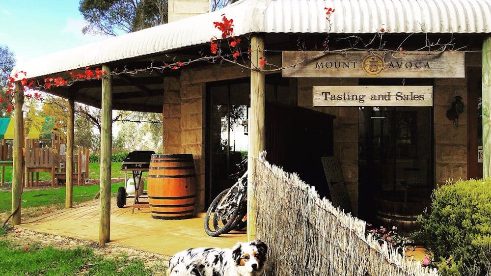 Dog wine cellar door