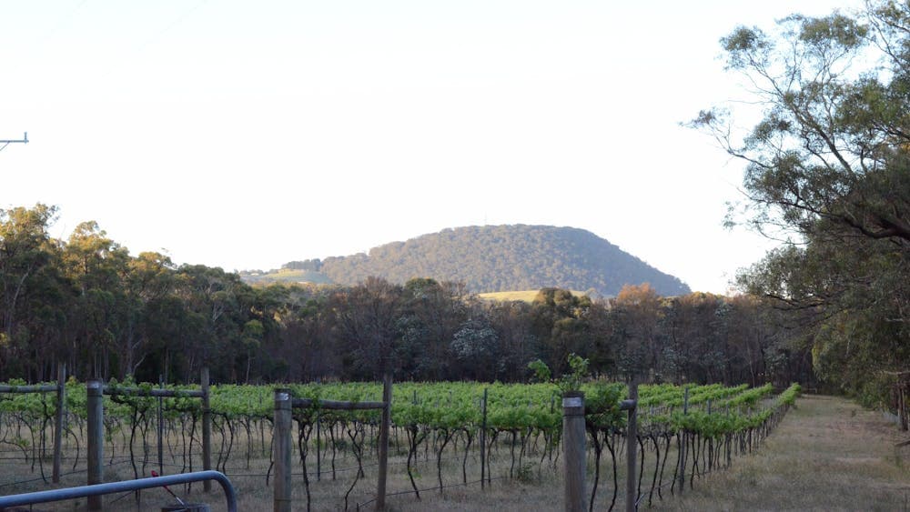 Views to Mt Buninyong