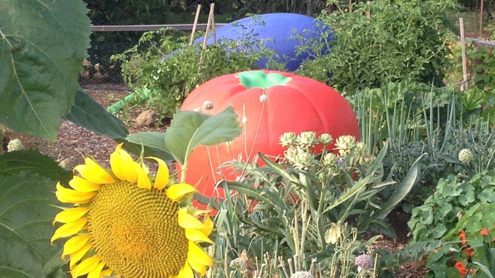 Vegetable garden