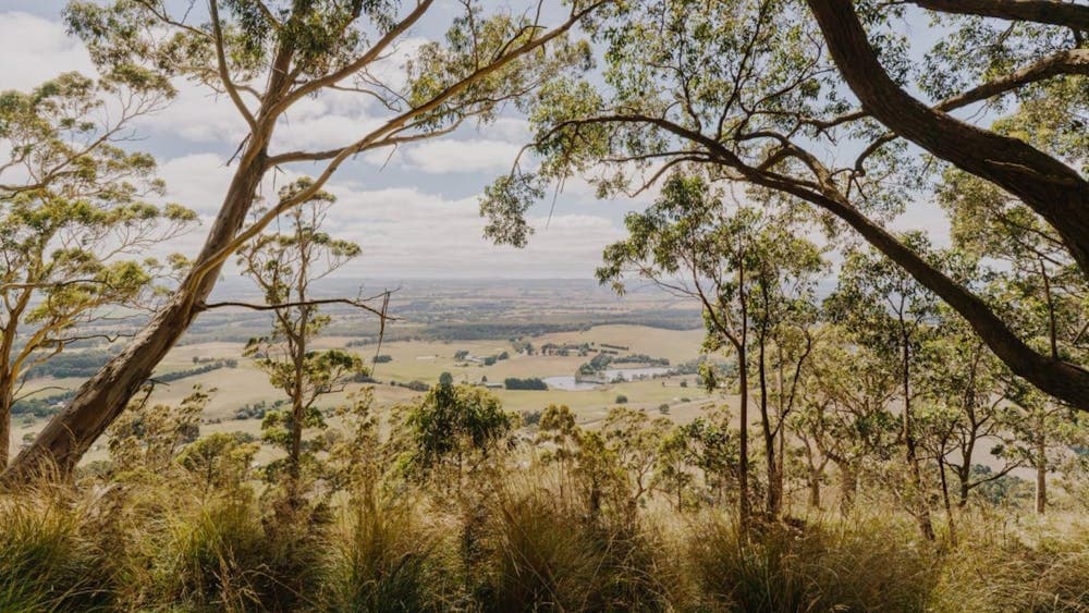 View from Mt Buninyong