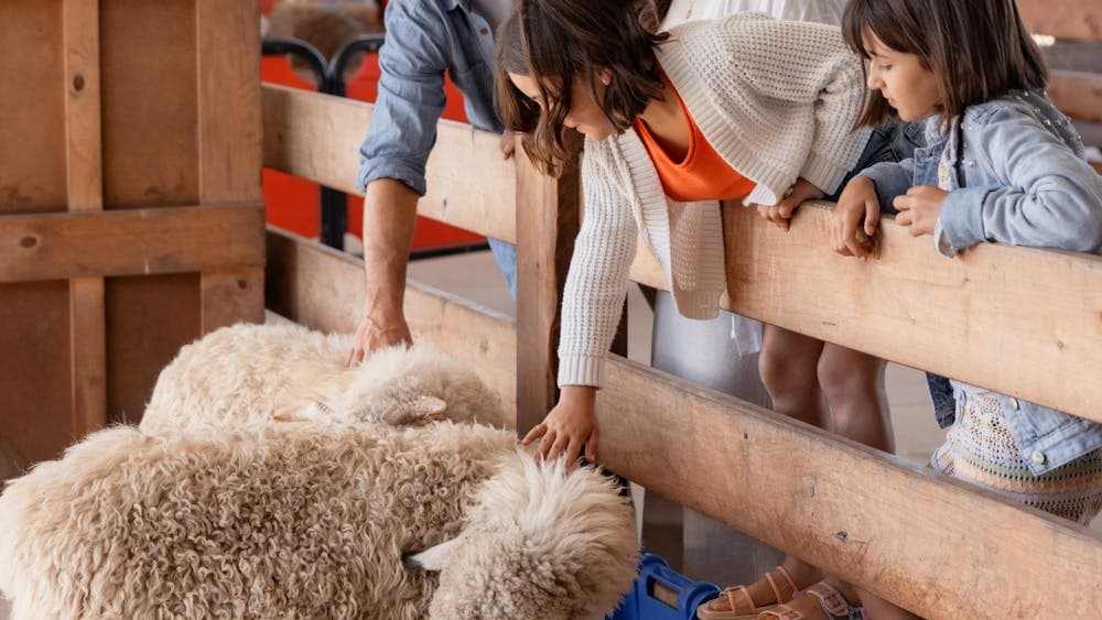 Family Fun at Creswick Woollen Mills