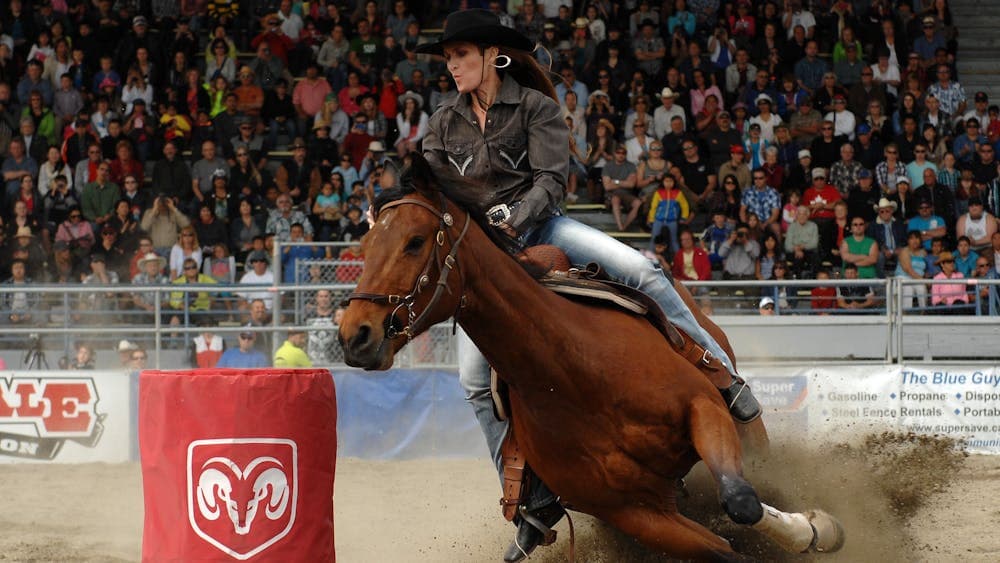 Lady barrel racing in full flight