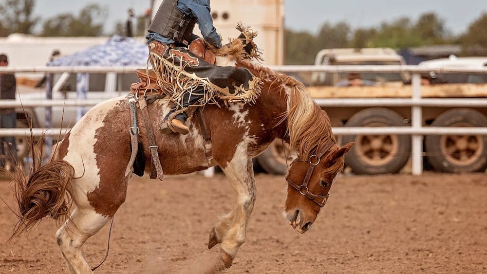 Man on a bucking bronco