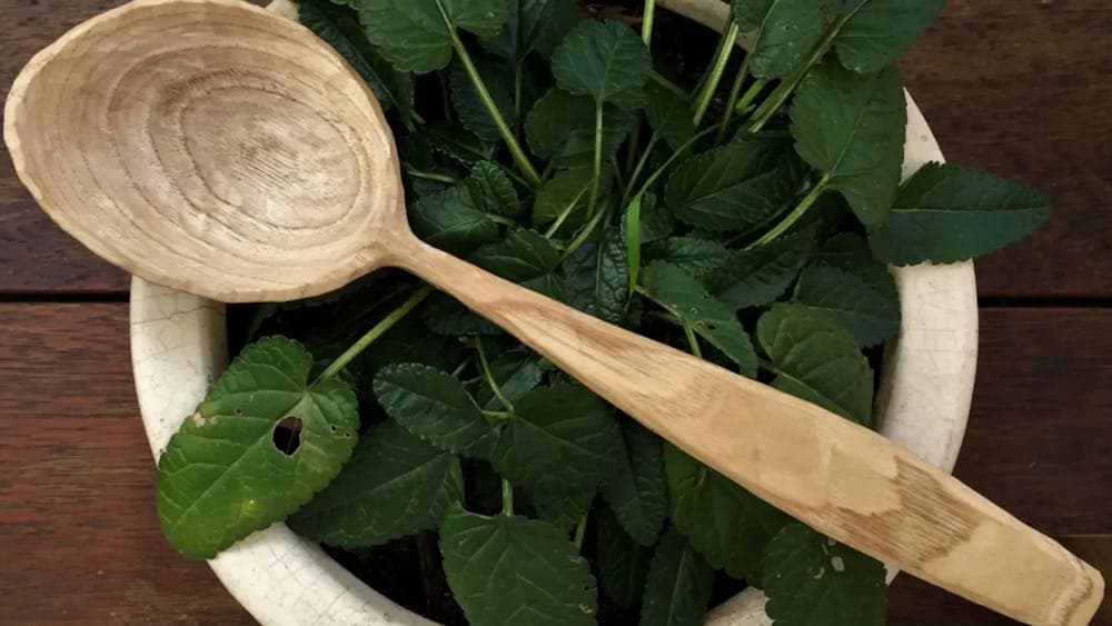 Wooden spoon resting on bowl filled with leaves