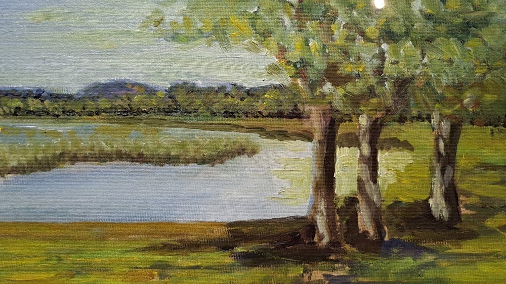 View of Lake Wendouree with calm water, green grass and 3  leafy green trees