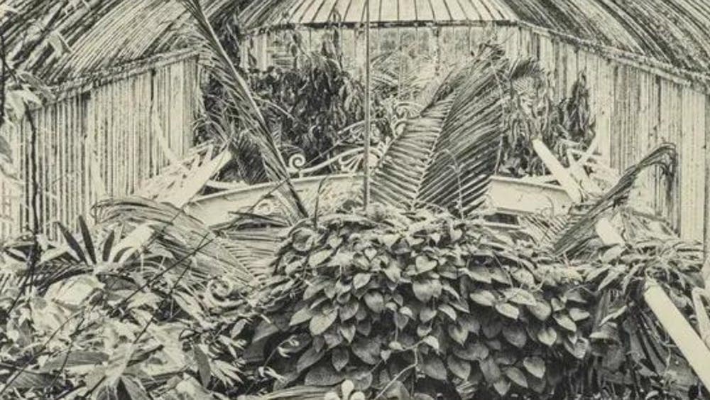 Black and white photogravure of a garden