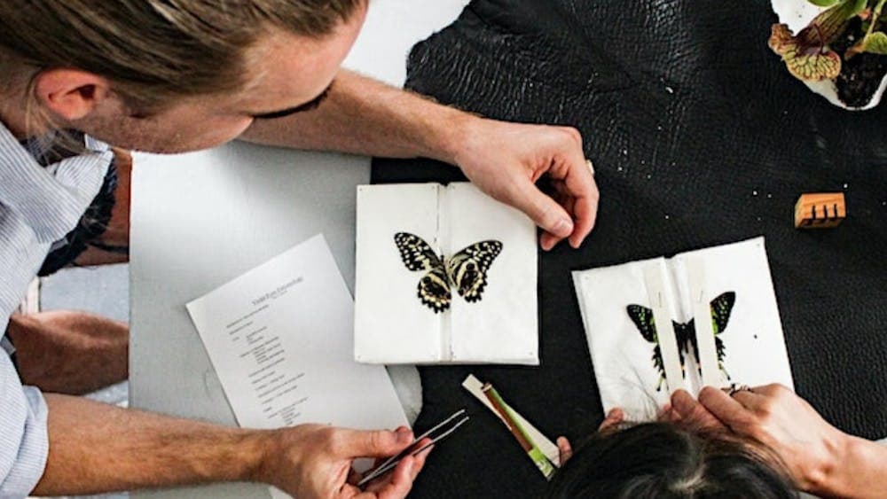 Two people making butterfly displays