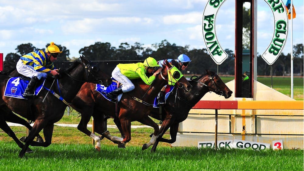 Avoca Races, Avoca, country races