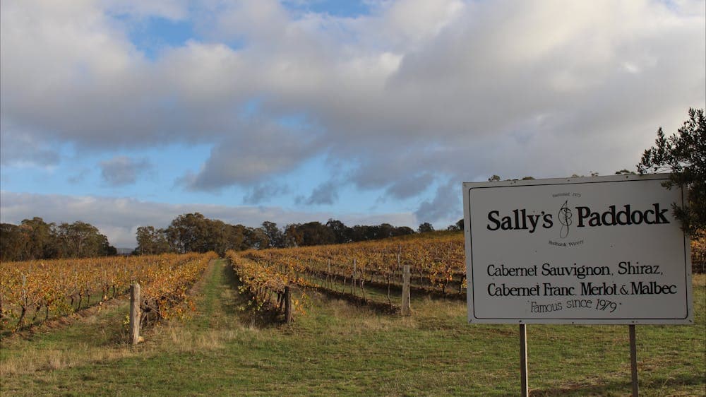 The Sally's Paddock vineyard