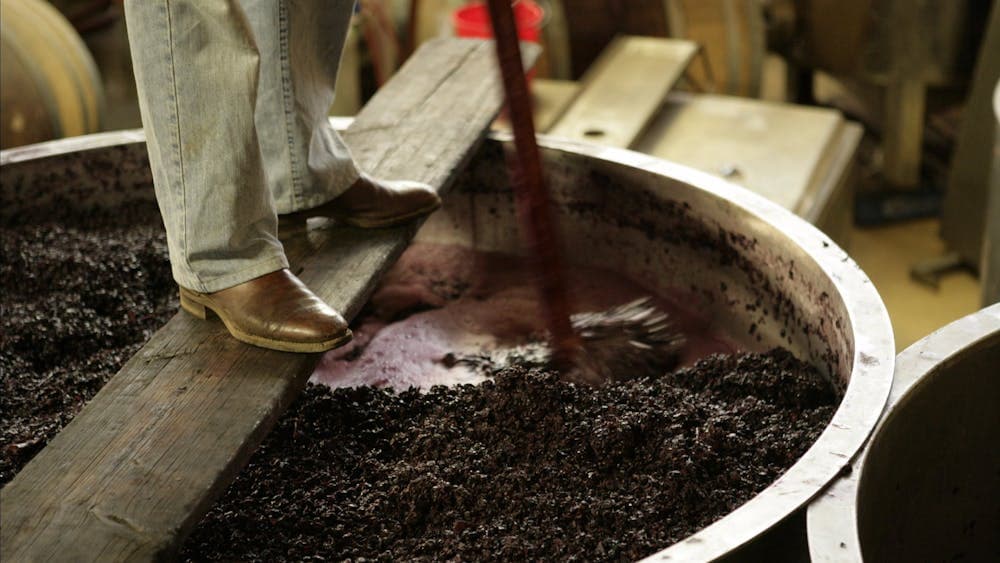 Wine making process