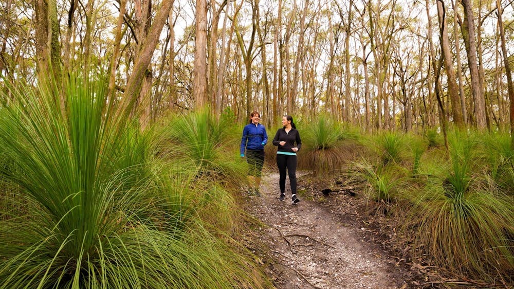 Woowookarung Regional Park  Walking