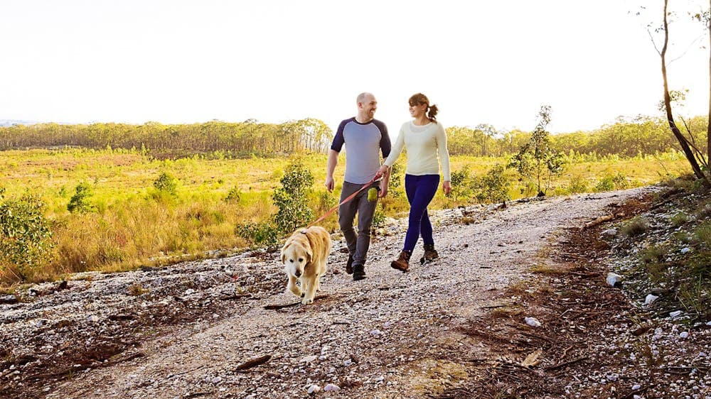 Woowookarung Regional Park  Dog Walking