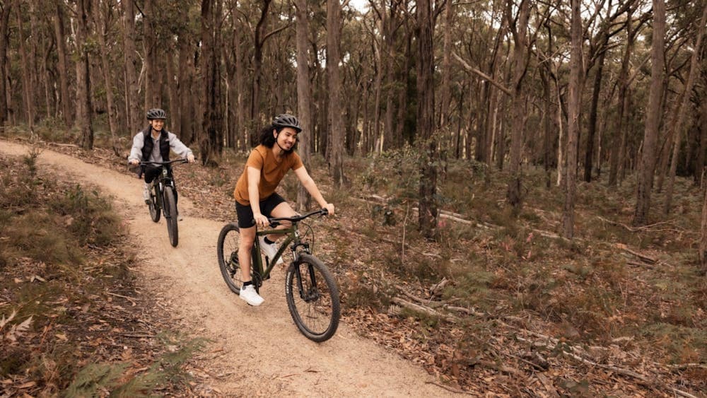 Two mountain bikers riding on trail