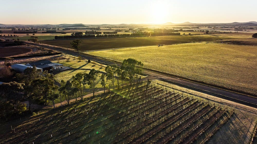 Sunrise over Eastern Peake Vineyard