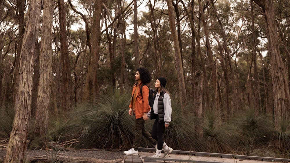 A couple walks through the forest