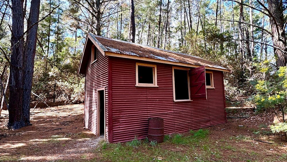 La Gerche Forest Loop Walk