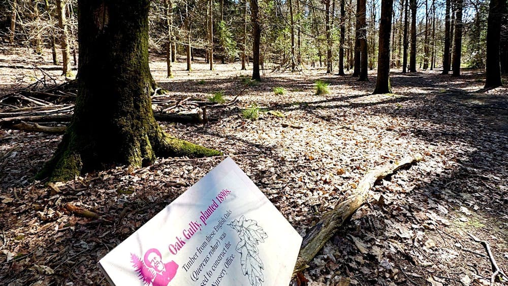 Signage along La Gerche Forest Loop Walk