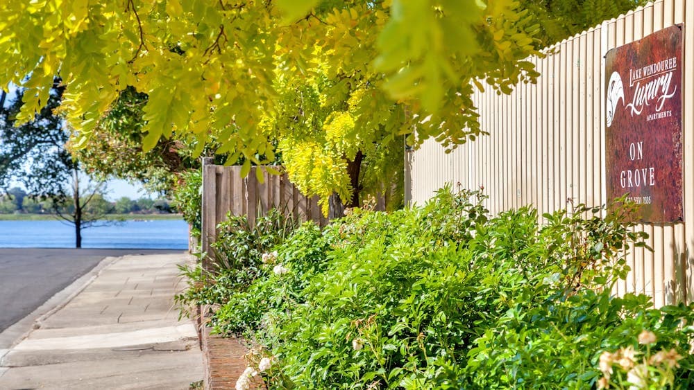 A short walk to the shores of Lake Wendouree