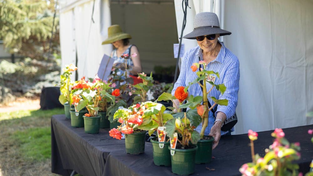 A lady in a wide brim hat looks at begonia plants in pots