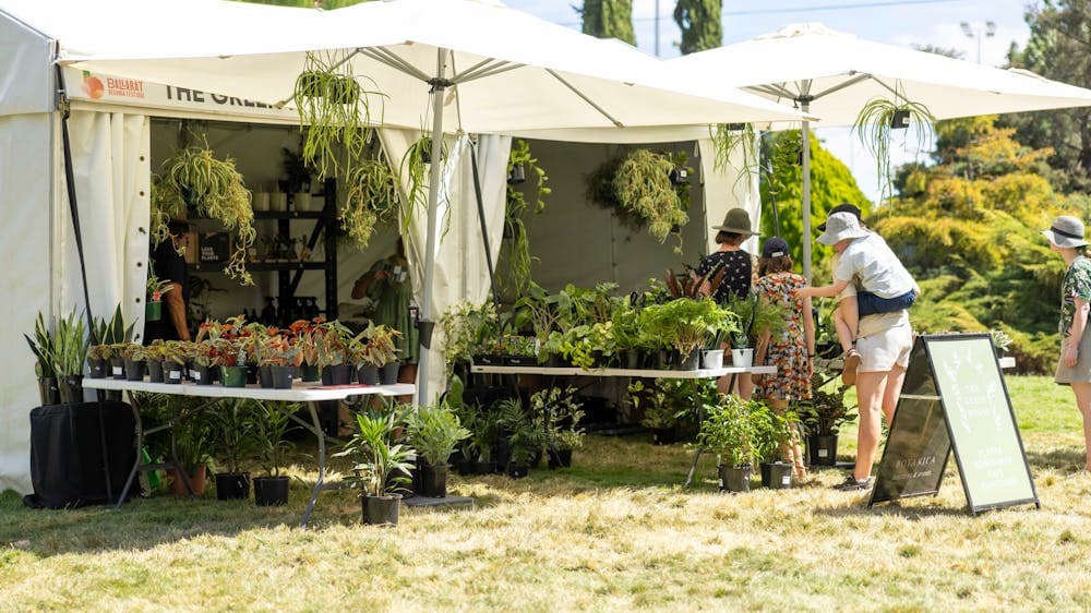 A nursery stall with lots of greenery under a white umbrella