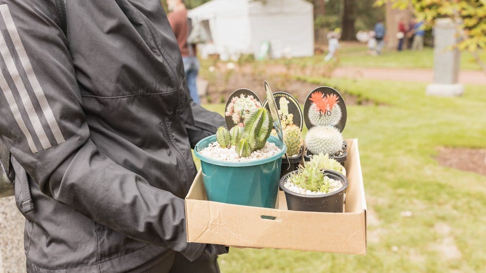 A person in a black jacket holds a tray of various cacti