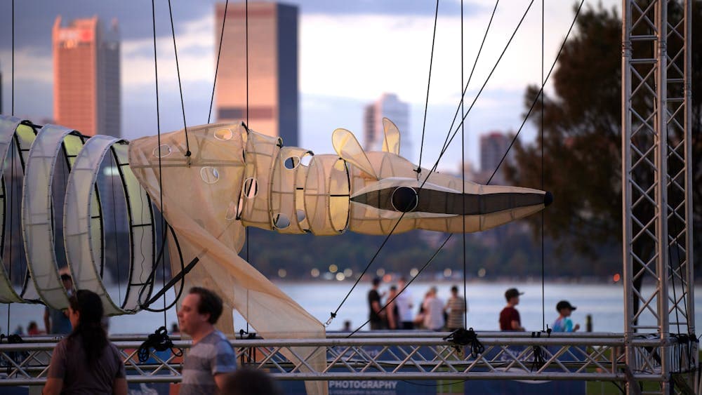 The numbat puppet is set up along an urban river at sunset.