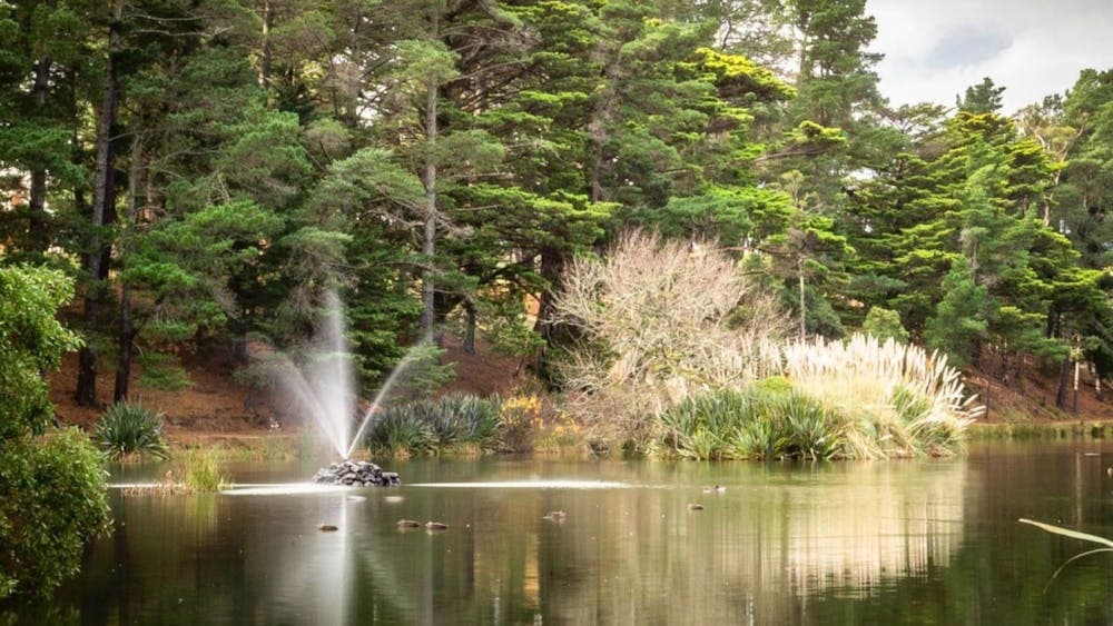 Park lake Creswick