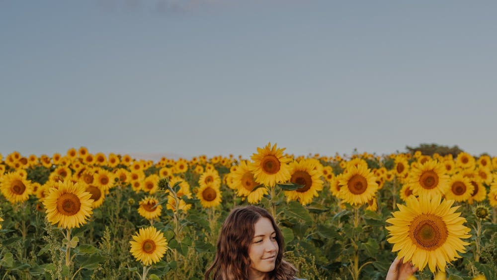 Lady looking at sunflowers