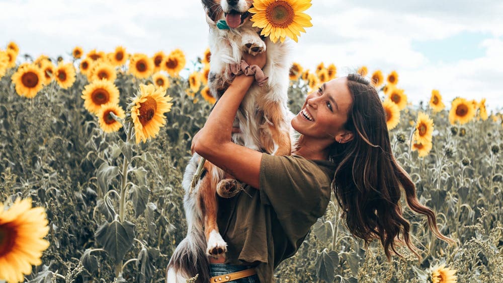 Lady with Dog in Sunflower Field