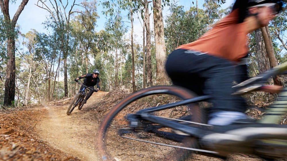 Djuwang Baring (Creswick Trails)