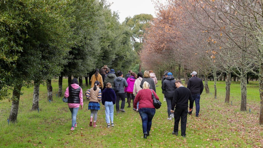 Winter Truffle Hunt