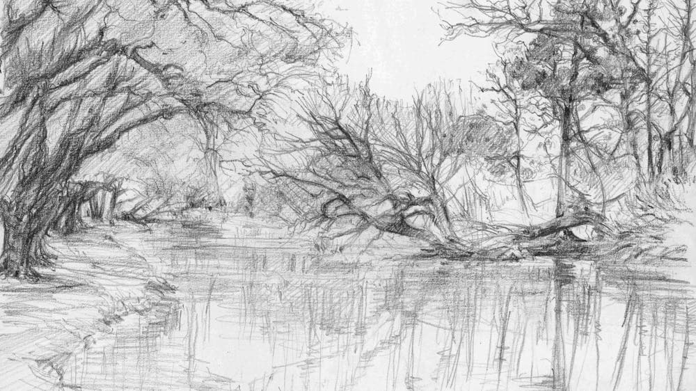 black and white drawing of a lake and  native shrubs.