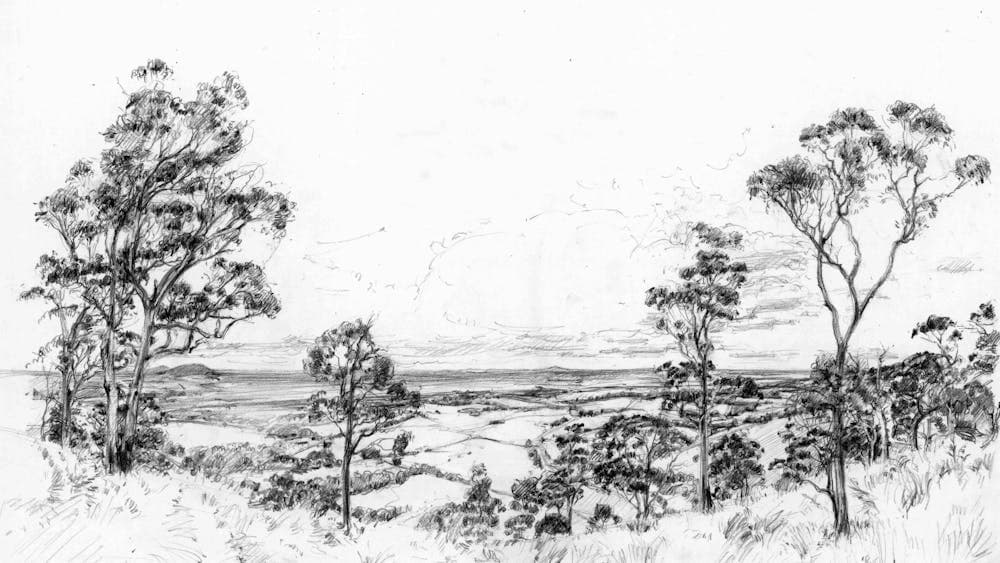 Black and white drawing of the landscape from Mount Bunninyong over fields and trees