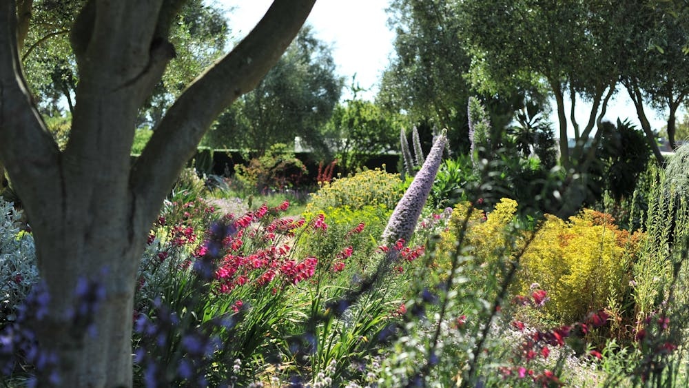 Thumbnail for Lambley Nursery and Gardens