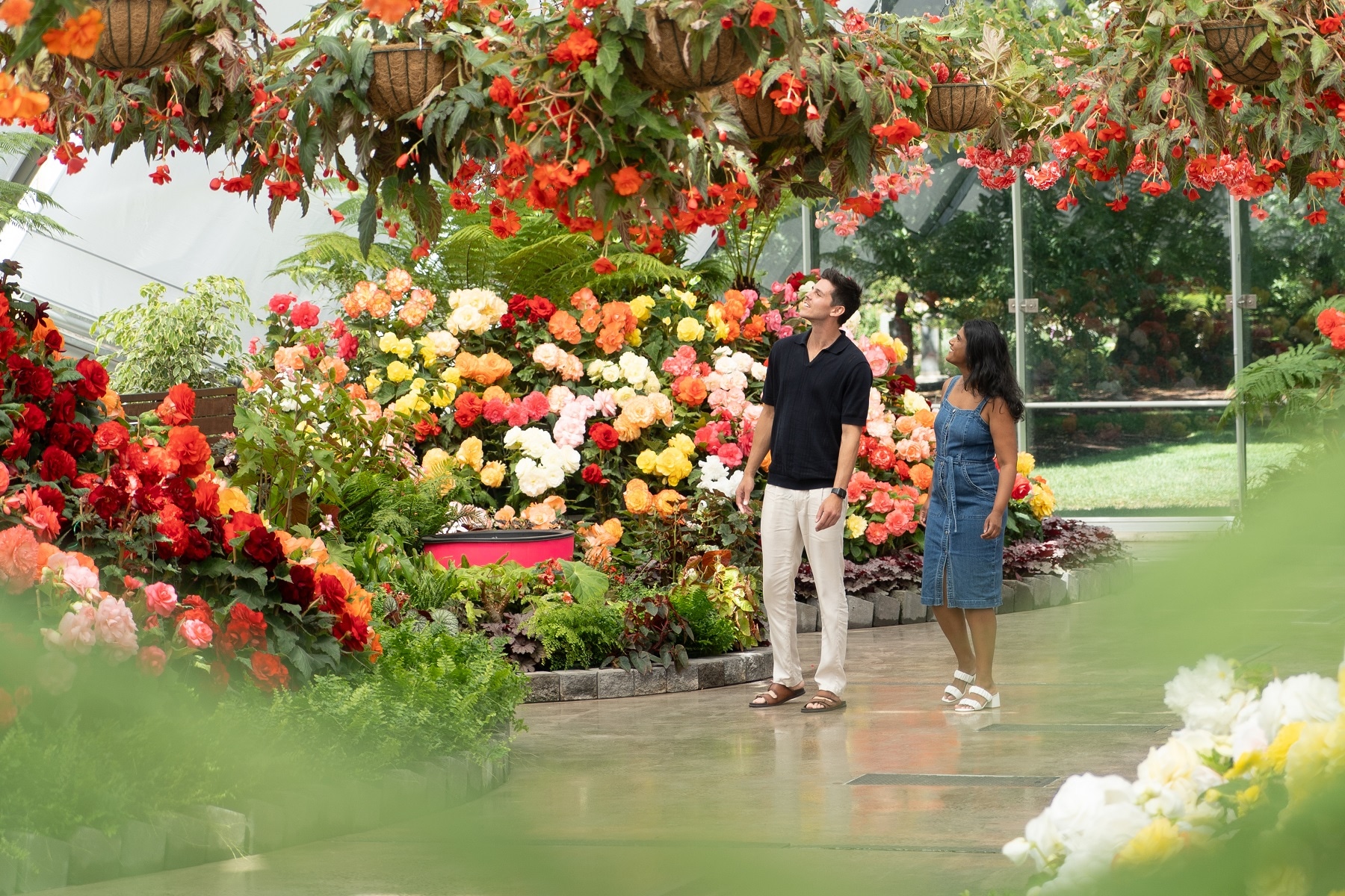 Thumbnail for Ballarat in full bloom for Begonia Festival