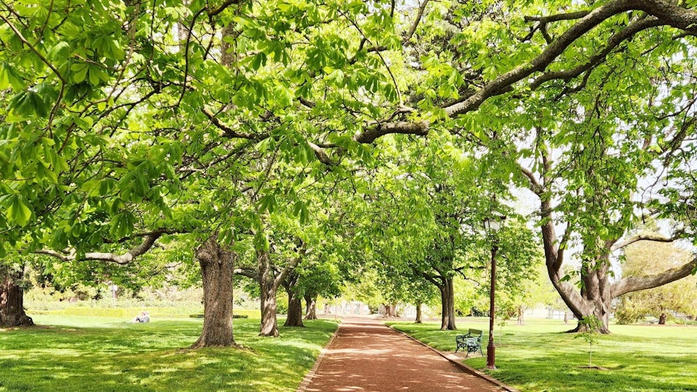 Thumbnail for Forest Therapy at the Ballarat Botanical Gardens