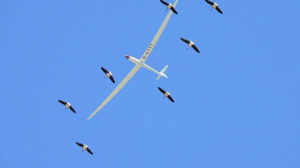 Thumbnail for Melbourne Gliding Club